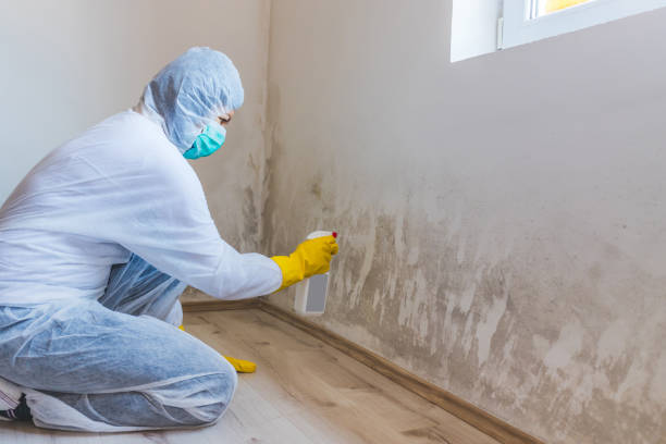 Bathroom Mold Removal assessment in Green Village bathroom